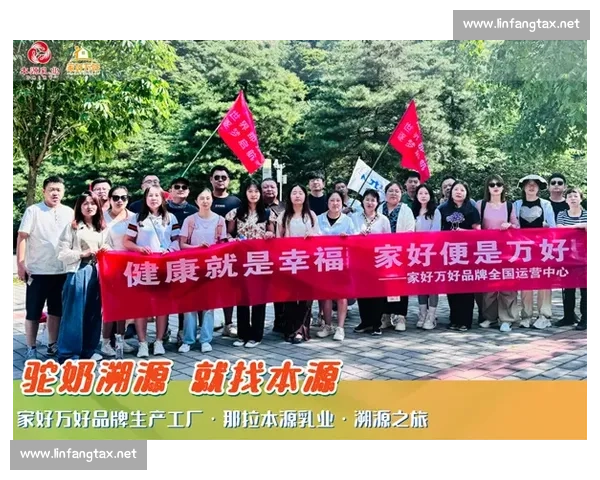 凝聚团队力量共创辉煌以团队精神为核心推动组织高效协作与共同成长